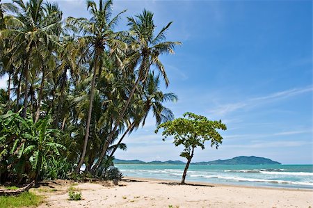 simsearch:862-06542597,k - View over Tamarindo beach, Costa Rica Pacific Coast. Stock Photo - Budget Royalty-Free & Subscription, Code: 400-04490675