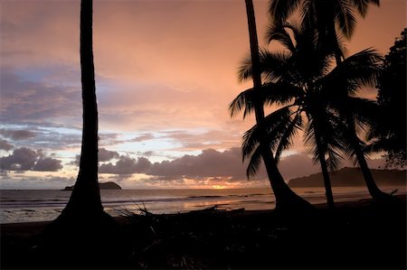 parco manuel antonio - Sunset at Manuel Antonio Beach, Costa Rica. Fotografie stock - Microstock e Abbonamento, Codice: 400-04490676