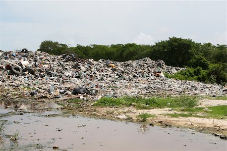 simsearch:400-05736388,k - An illegal dumping site outside of Belize City in Central America Foto de stock - Super Valor sin royalties y Suscripción, Código: 400-04491217