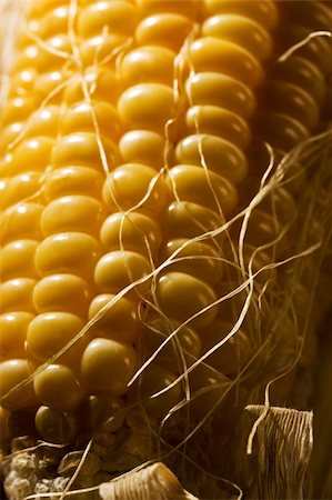 simsearch:824-07310382,k - foodstuff: macro picture of freshly golden corn Stockbilder - Microstock & Abonnement, Bildnummer: 400-04491954