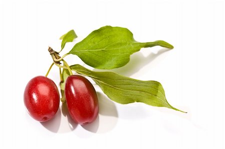Cornelian cherries over white background with liaves Stock Photo - Budget Royalty-Free & Subscription, Code: 400-04491980