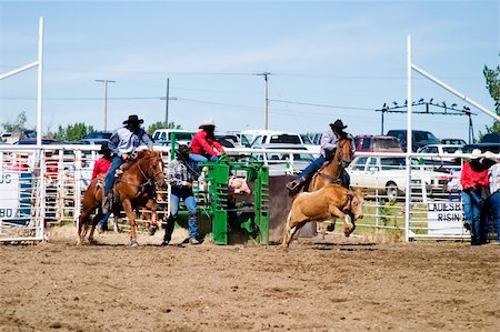 débandade - Steer Wrestling at a small town rodeo Photographie de stock - Aubaine LD & Abonnement, Code: 400-04493536