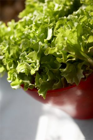 simsearch:400-05368196,k - Green fresh salad in a red bowl Foto de stock - Super Valor sin royalties y Suscripción, Código: 400-04493999