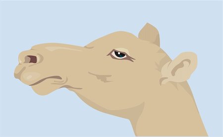 Illustration of a silhouette of camel head in light blue surface Stock Photo - Budget Royalty-Free & Subscription, Code: 400-04505745