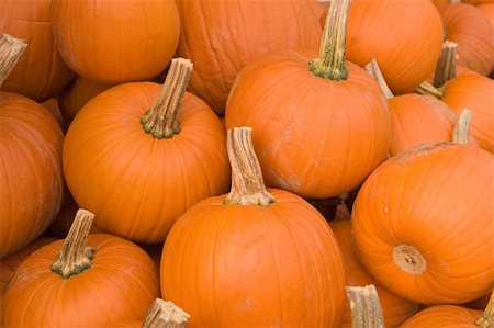 A pile of pumpkins for sale. Stockbilder - Microstock & Abonnement, Bildnummer: 400-04506045