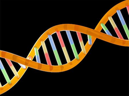 simsearch:400-08409196,k - rendering of dna Stock Photo - Budget Royalty-Free & Subscription, Code: 400-04507094