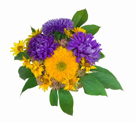 simsearch:400-04576781,k - Bouquet isolated on the white background Photographie de stock - Aubaine LD & Abonnement, Code: 400-04508674