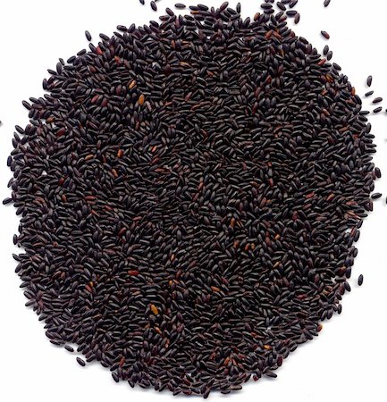 rice harvesting in japan - Chinese whole black rice on white background from the top Stock Photo - Budget Royalty-Free & Subscription, Code: 400-04508776