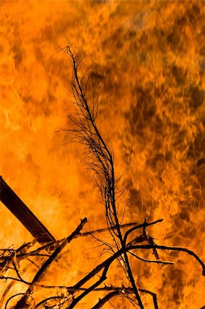 A bonfire burns with intense heat and passion Photographie de stock - Aubaine LD & Abonnement, Code: 400-04509825