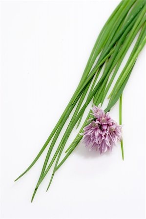 Fresh Chive on white Background Stock Photo - Budget Royalty-Free & Subscription, Code: 400-04501781