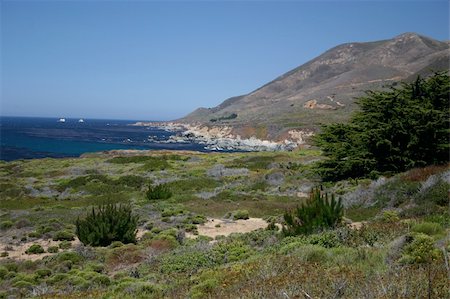 Big Sur, California Fotografie stock - Microstock e Abbonamento, Codice: 400-04502342