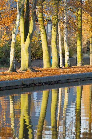 prior - Trees in autumn leaf alongside a waterway. Stock Photo - Budget Royalty-Free & Subscription, Code: 400-04502580