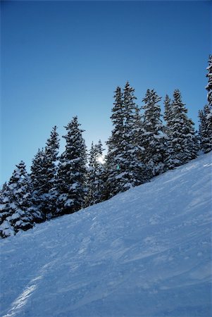 ski run on copper mountain, in colorado Photographie de stock - Aubaine LD & Abonnement, Code: 400-04502994