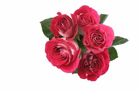 simsearch:400-03941928,k - Five pink roses lay on a white background Photographie de stock - Aubaine LD & Abonnement, Code: 400-04503013