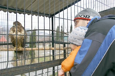 baby boy with father in zoo Stock Photo - Budget Royalty-Free & Subscription, Code: 400-04503054