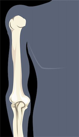 physical education - Illustration of human hand bone Photographie de stock - Aubaine LD & Abonnement, Code: 400-04514250