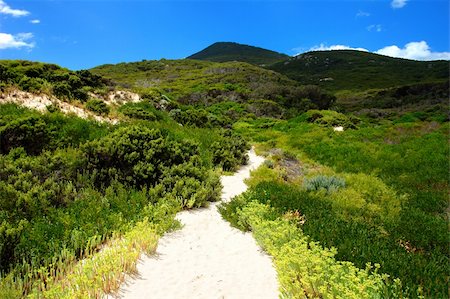 Sand Trail at Wilsons Promontory Stock Photo - Budget Royalty-Free & Subscription, Code: 400-04514280