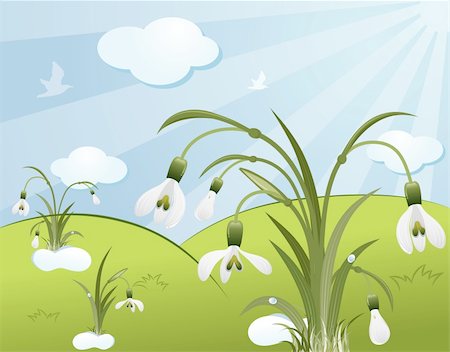 Flower background with snowdrop, birds, clouds, element for design, vector illustration Stock Photo - Budget Royalty-Free & Subscription, Code: 400-04515204