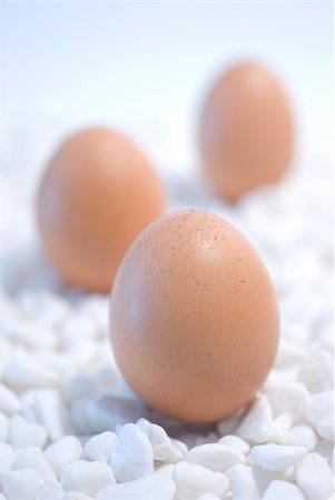 smithesmith (artist) - macro of eggs on white pebbles background Photographie de stock - Aubaine LD & Abonnement, Code: 400-04515532