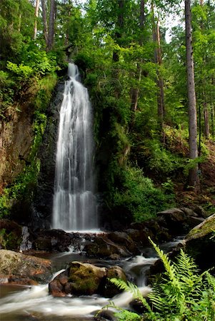 Waterfall in the forest with a long exposure Stock Photo - Budget Royalty-Free & Subscription, Code: 400-04515582