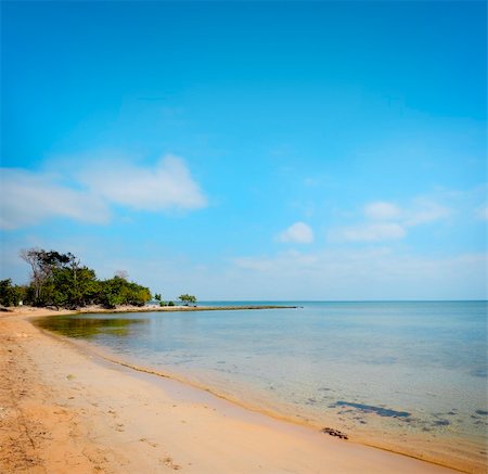 A view of solitary beach with green vegetation Stock Photo - Budget Royalty-Free & Subscription, Code: 400-04515689