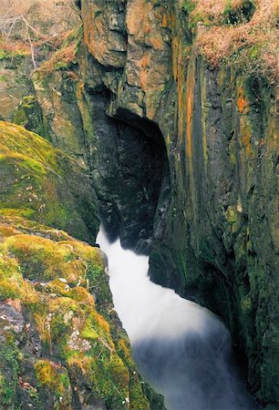 dales gorge - The Ingleton glens the yorkshire dales national park england uk Stock Photo - Budget Royalty-Free & Subscription, Code: 400-04516070