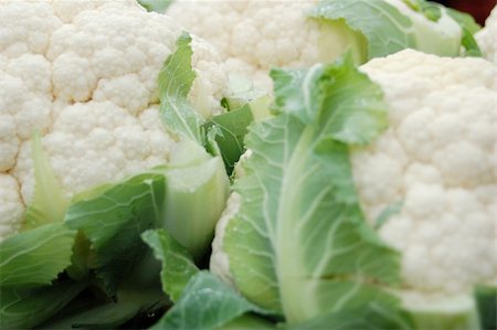 a close look at snowball like Cauliflower Stock Photo - Budget Royalty-Free & Subscription, Code: 400-04517716