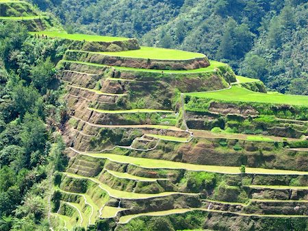 Banaue rice terraces in Ifugao province, Philippines. Fotografie stock - Microstock e Abbonamento, Codice: 400-04517848