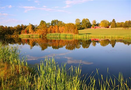 Autumn Farm Pond with Red Bard Stock Photo - Budget Royalty-Free & Subscription, Code: 400-04518809
