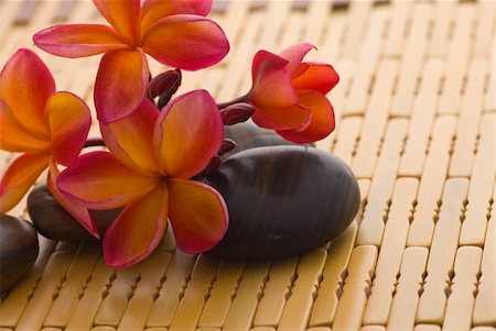 red flowers in stone images - Frangipani and polished stone on bamboo mat Stock Photo - Budget Royalty-Free & Subscription, Code: 400-04519016