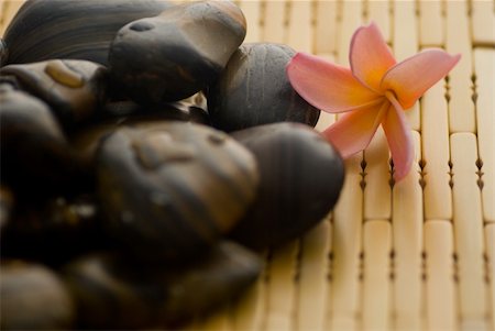 Frangipani flower and polished stone on tropical bamboo mat Stockbilder - Microstock & Abonnement, Bildnummer: 400-04519024