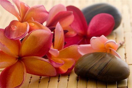 Frangipani flower and polished stone on tropical bamboo mat Stock Photo - Budget Royalty-Free & Subscription, Code: 400-04519020