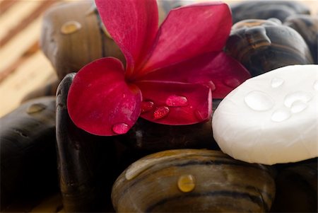 Aromatherapy and spa massage on tropical bamboo and polished stones. Stockbilder - Microstock & Abonnement, Bildnummer: 400-04519023