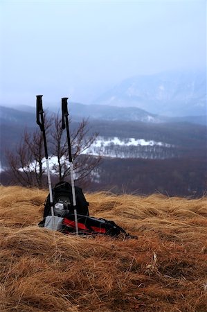 On a halt in Crimean mountains Stock Photo - Budget Royalty-Free & Subscription, Code: 400-04519310