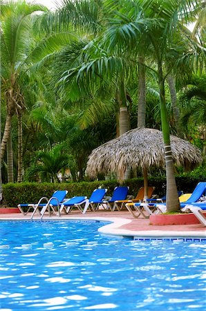 simsearch:400-05316943,k - Swimming pool and palm trees at tropical resort Foto de stock - Royalty-Free Super Valor e Assinatura, Número: 400-04519745