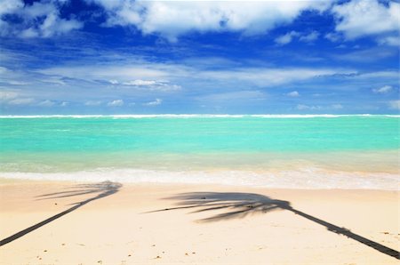 simsearch:400-05676017,k - Pristine tropical beach with palm trees shadows on Caribbean island. Colors are natural. Photographie de stock - Aubaine LD & Abonnement, Code: 400-04519741