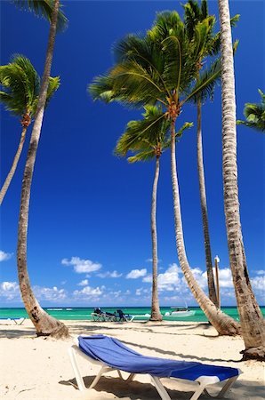 simsearch:400-06947087,k - Sandy beach on Caribbean resort with tall palm trees Stock Photo - Budget Royalty-Free & Subscription, Code: 400-04519796