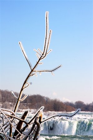 Brunch of a bush covered with frozen mist from Niagara Falls. In back is seen the upper edge of Canadian Niagara Fall. Stock Photo - Budget Royalty-Free & Subscription, Code: 400-04510454