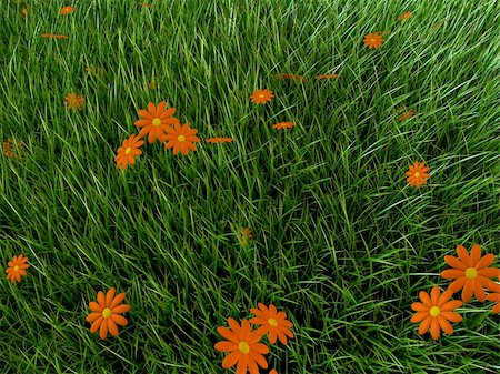 simsearch:400-05316370,k - 3d rendered illustration of a grass field with orange flowers Stock Photo - Budget Royalty-Free & Subscription, Code: 400-04510568