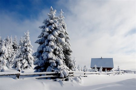 snow cosy - winter landscape with snowy trees and a cabin Stock Photo - Budget Royalty-Free & Subscription, Code: 400-04510906
