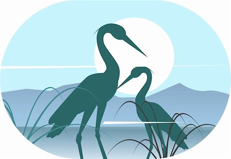 swan beak color - Illustration of silhouettes of two cranes on sunlight Stock Photo - Budget Royalty-Free & Subscription, Code: 400-04511102