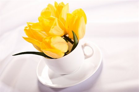 smelling tulip - flower series: yellow tulips bouquet in the tea cup Stock Photo - Budget Royalty-Free & Subscription, Code: 400-04511192