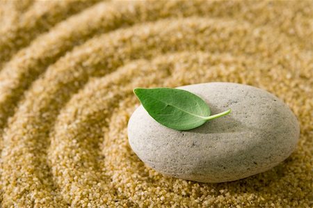 Raked sand and stone with a green leaf on top Stockbilder - Microstock & Abonnement, Bildnummer: 400-04511741