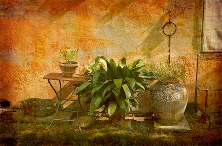 simsearch:400-04512320,k - Artistic work of my own in retro style - Postcard from Italy. - Country garden - Tuscany Fotografie stock - Microstock e Abbonamento, Codice: 400-04512331