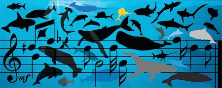 simsearch:400-04618849,k - Vector Illustration of a huge variety of whale & fish from orca to tuna all in silhouette swimming over and around a bar of musical notes with a sun coming thru in the background. Fotografie stock - Microstock e Abbonamento, Codice: 400-04512942