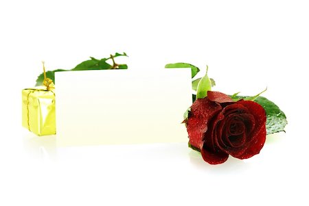 red rose with a gift and blank card for congratulation over white Foto de stock - Super Valor sin royalties y Suscripción, Código: 400-04524199