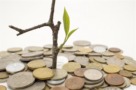 Coins and plant, isolated on white background. Stockbilder - Microstock & Abonnement, Bildnummer: 400-04524957