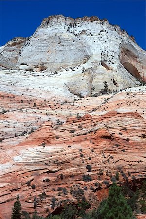 simsearch:400-05060798,k - Zion National Park is a United States National Park located in the Southwestern United States, near Springdale, Utah. Foto de stock - Royalty-Free Super Valor e Assinatura, Número: 400-04525108