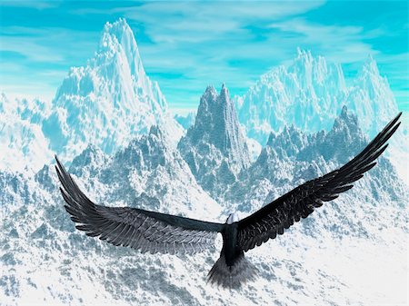 simsearch:400-04831804,k - An eagle flight against white snowy mountains Stockbilder - Microstock & Abonnement, Bildnummer: 400-04525442