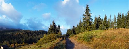 forest path panorama - Autumn beginning morning in Carpathian mountain, Ukraine. Seven shots stitch image. With moon under trees Stock Photo - Budget Royalty-Free & Subscription, Code: 400-04525592